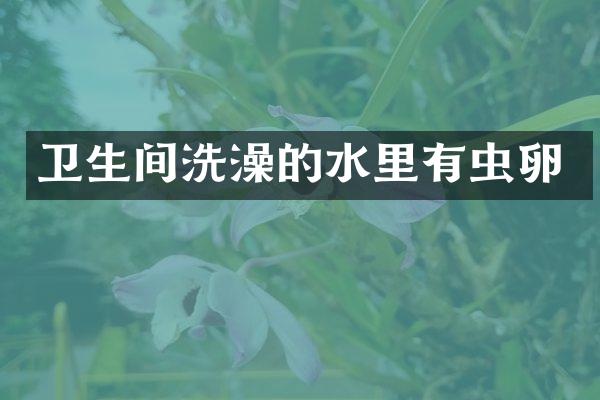 卫生间洗澡的水里有虫卵