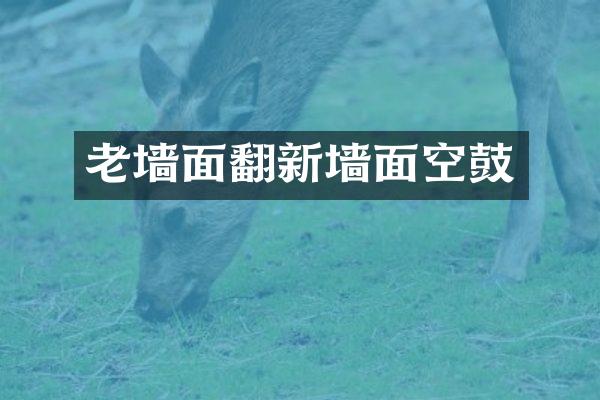 老墙面翻新墙面空鼓