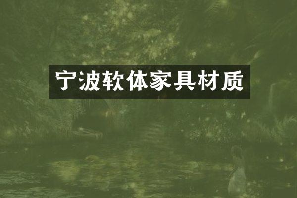 宁波软体家具材质