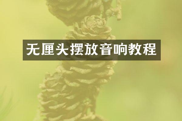 无厘头摆放音响教程