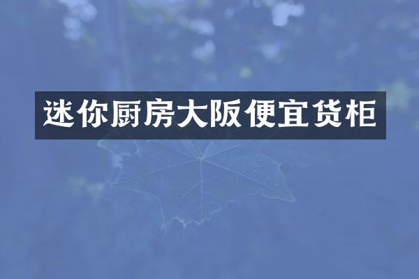 迷你厨房大阪便宜货柜