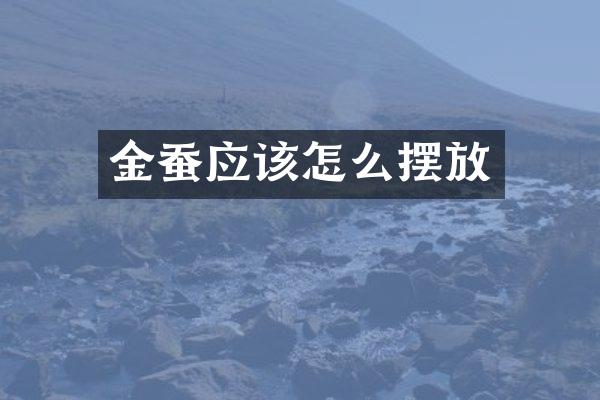 金蚕应该怎么摆放