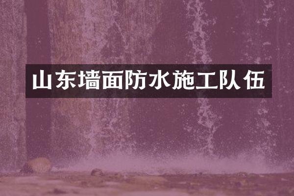 山东墙面防水施工队伍