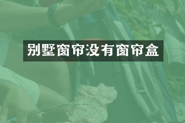 别墅窗帘没有窗帘盒