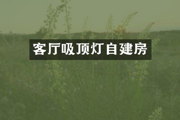 客厅吸顶灯自建房
