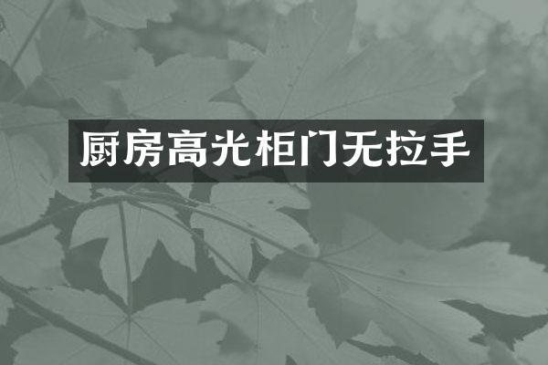 厨房高光柜门无拉手
