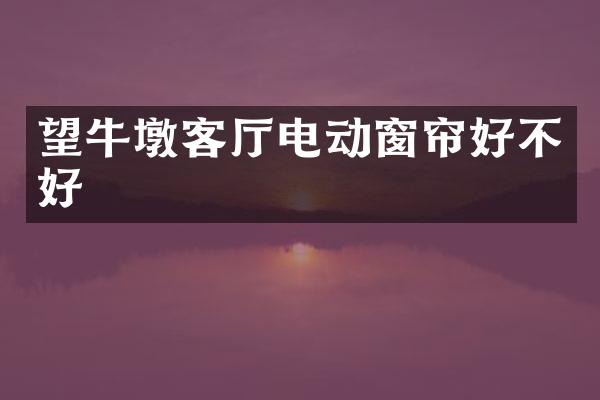 望牛墩客厅电动窗帘好不好