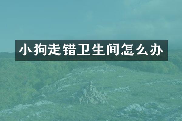 小狗走错卫生间怎么办