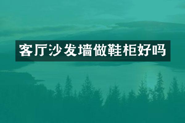 客厅沙发墙做鞋柜好吗