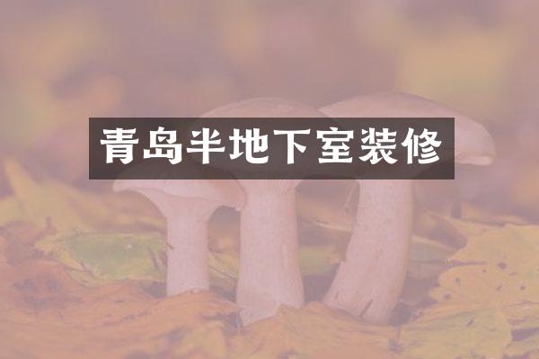 青岛半地下室装修