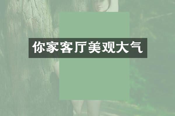 你家客厅美观大气