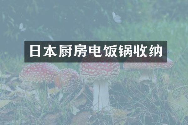 日本厨房电饭锅收纳