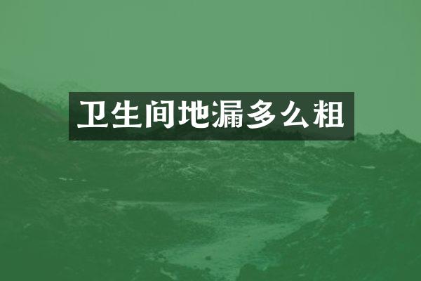 卫生间地漏多么粗