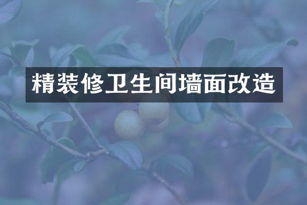 精装修卫生间墙面改造