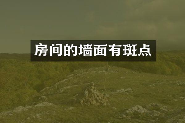 房间的墙面有斑点