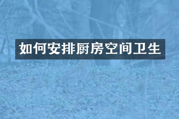 如何安排厨房空间卫生