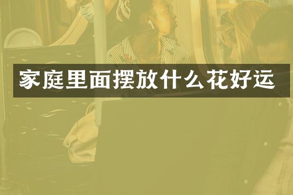 家庭里面摆放什么花好运