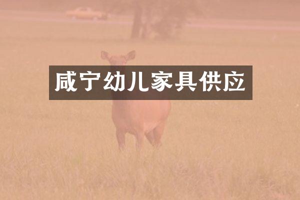 咸宁幼儿家具供应