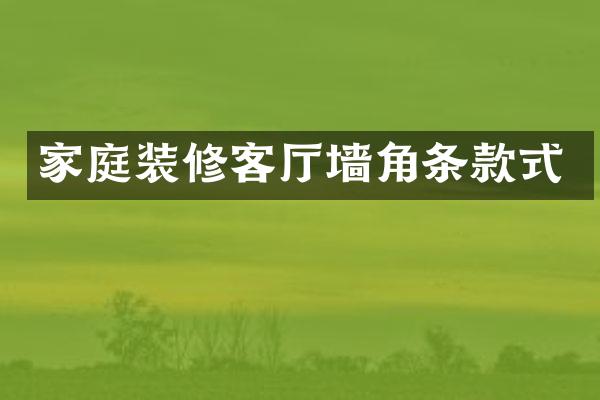 家庭装修客厅墙角条款式