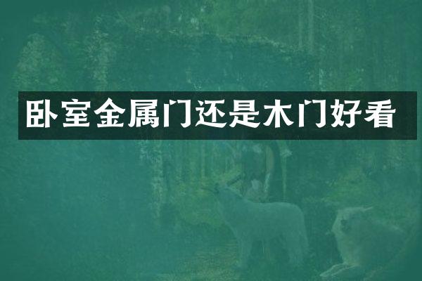 卧室金属门还是木门好看