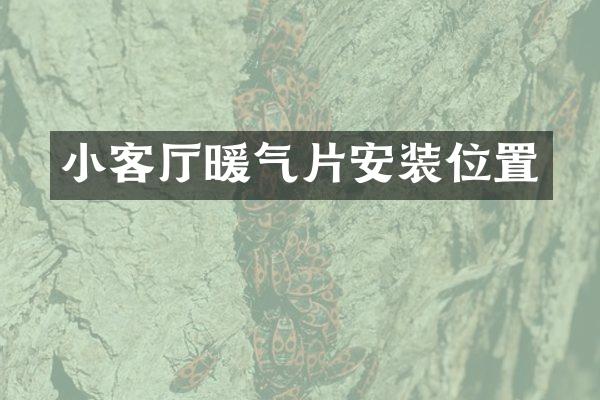 小客厅暖气片安装位置