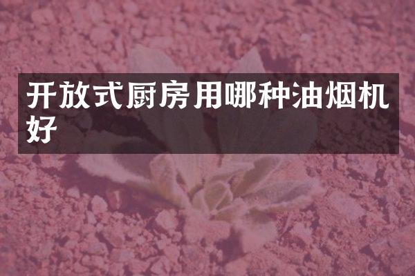 开放式厨房用哪种油烟机好