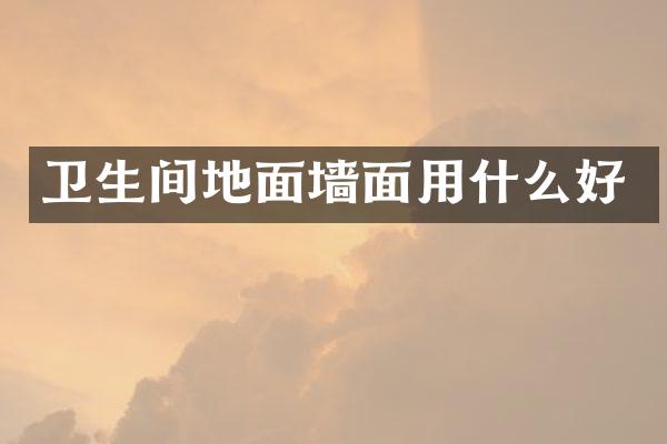 卫生间地面墙面用什么好