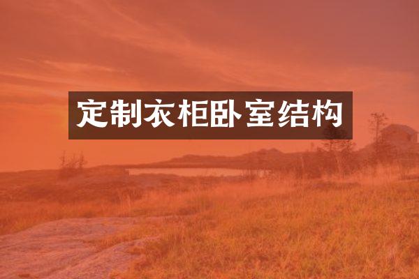 定制衣柜卧室结构