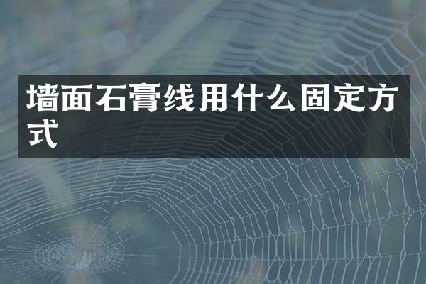 墙面石膏线用什么固定方式