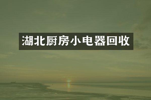 湖北厨房小电器回收
