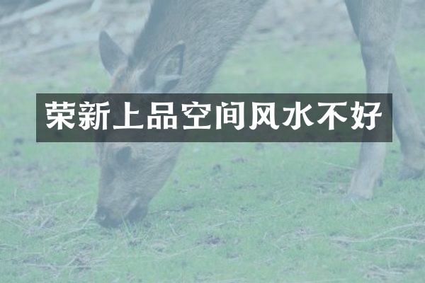 荣新上品空间风水不好
