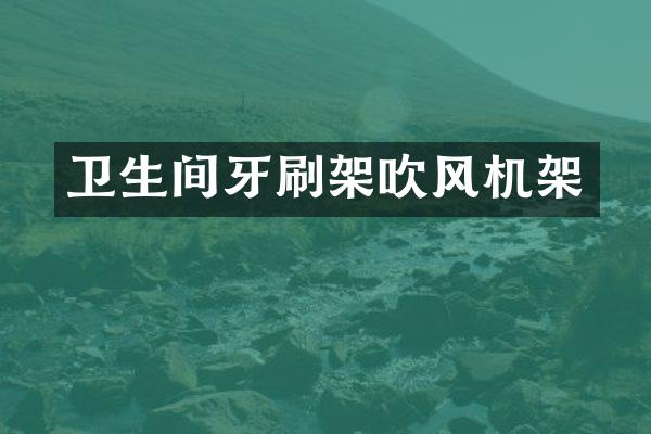 卫生间牙刷架吹风机架