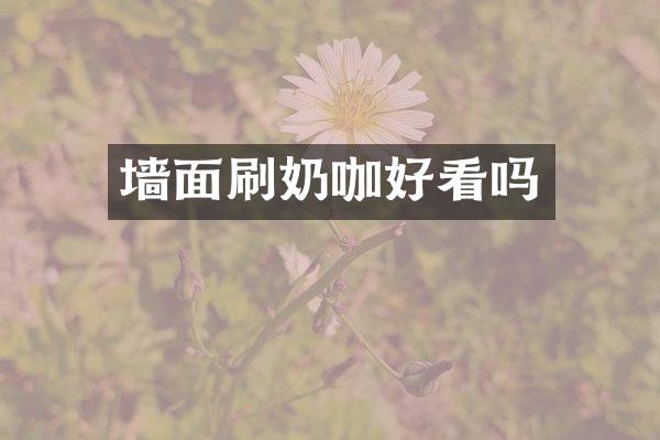 墙面刷奶咖好看吗