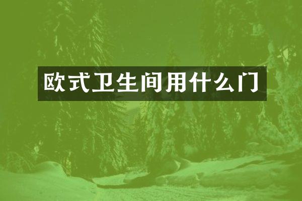 欧式卫生间用什么门