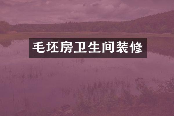 毛坯房卫生间装修