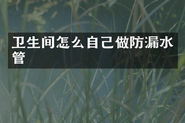 卫生间怎么自己做防漏水管