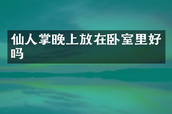 仙人掌晚上放在卧室里好吗