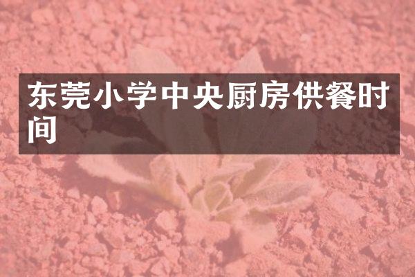 东莞小学中央厨房供餐时间