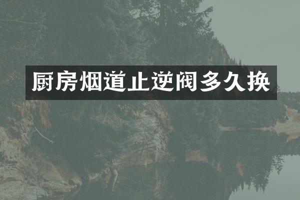厨房烟道止逆阀多久换