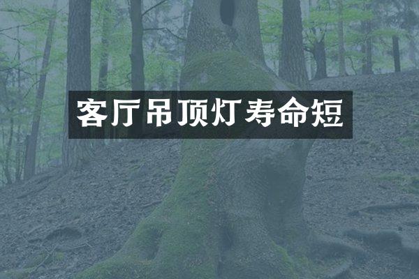 客厅吊顶灯寿命短