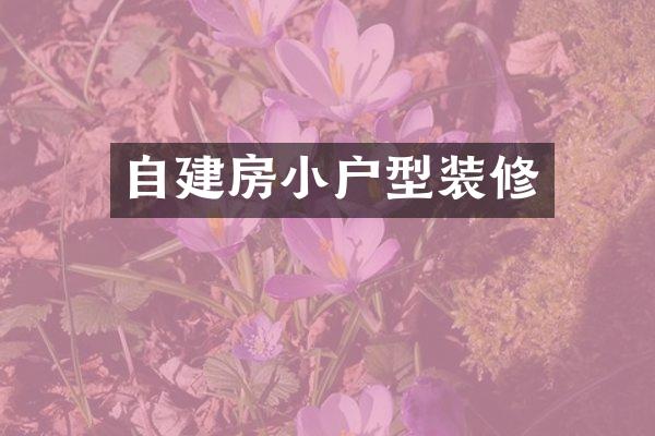 自建房小户型装修