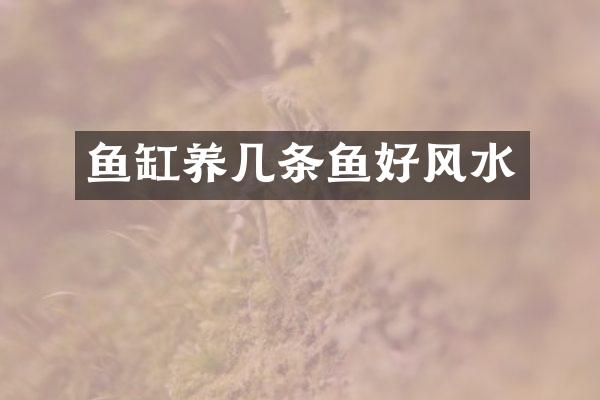 鱼缸养几条鱼好风水