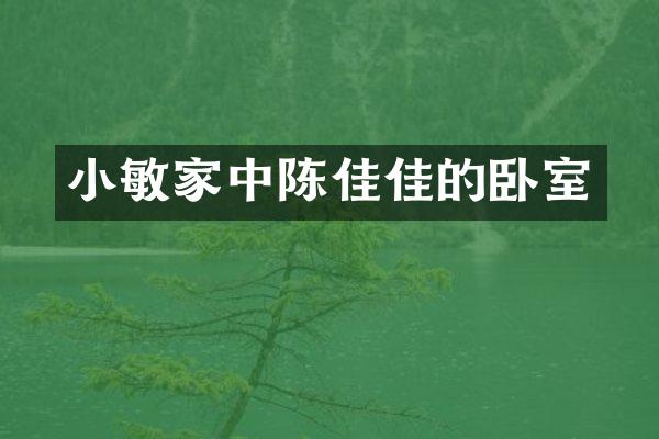 小敏家中陈佳佳的卧室