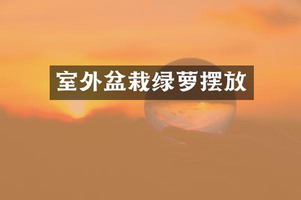 室外盆栽绿萝摆放