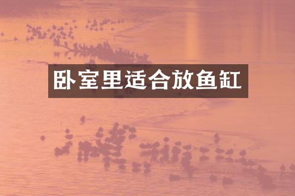 卧室里适合放鱼缸