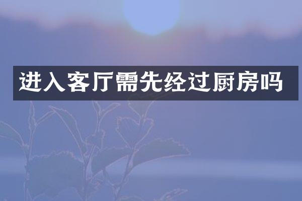 进入客厅需先经过厨房吗