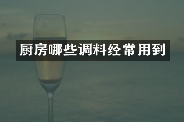 厨房哪些调料经常用到