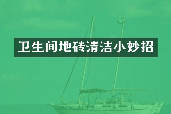 卫生间地砖清洁小妙招