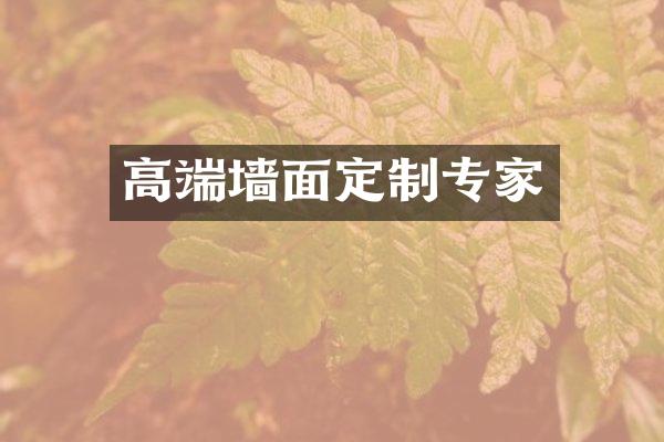 高端墙面定制专家