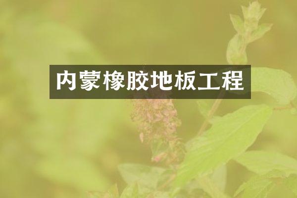 内蒙橡胶地板工程
